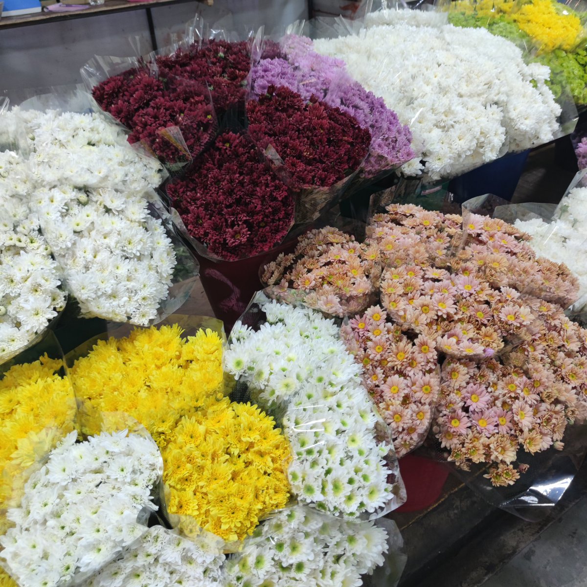 Faimaii's tweet photo. คลายเครียดด้วยดอกไม้^^ https://t.co/gxy6QBj4x6
