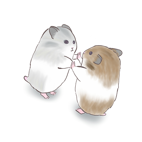MoCu_full's tweet photo. #ハムスター #ゴールデンハムスター #hamster #もきゅっ #mocu full #もふもふ https://t.co/6Kv7GdROmD