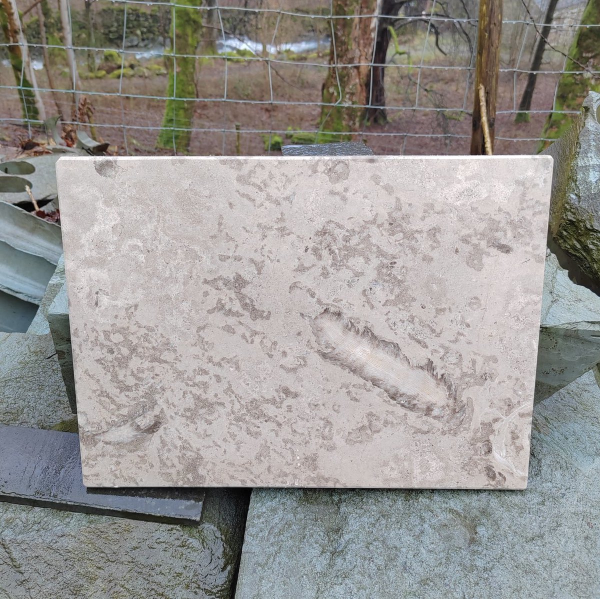 ConistonStone's tweet photo. Andy was busy yesterday making a variety of interesting chopping boards and cheese platters.
How lucky are we to have such beautiful slate and Baycliff limestone? https://t.co/rqCt6ha5gW
