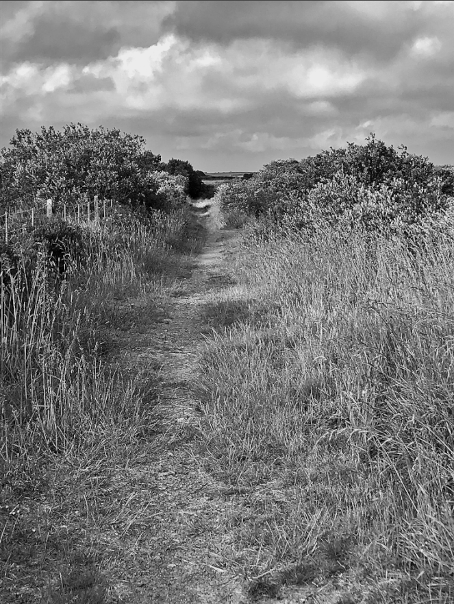 For cunning folk have navigation of the land by fox tracks, by half-hidden paths and gaps in high hedges. They walk neglected borders – not just between moor and field – but between Faery, between the Empire of the Dead. They know the shortcuts to guileful England. – #CLNolan