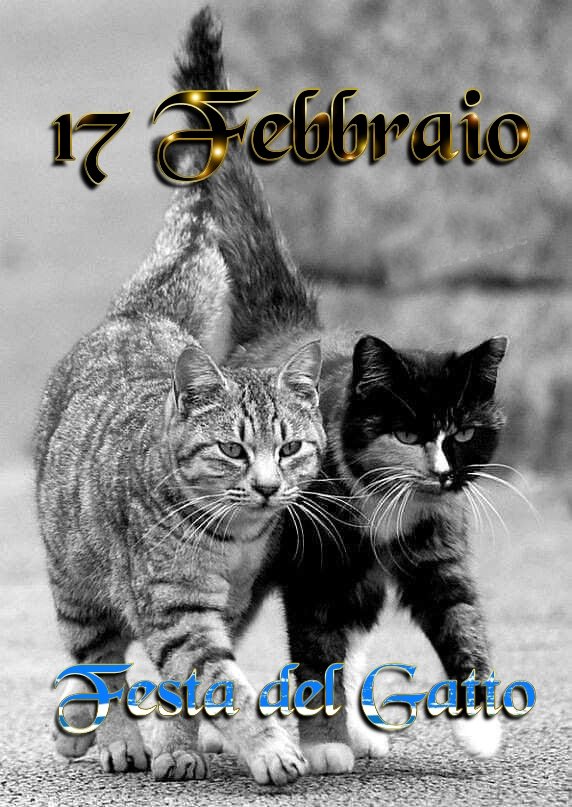 nebbianelsole's tweet photo. Auguri a queste creature meravigliose, magiche, silenziose ma sempre presenti. https://t.co/ogfR6HbR4X