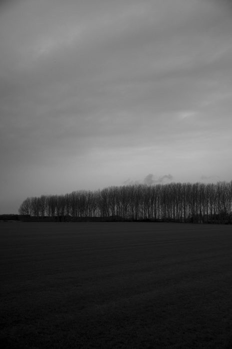 Winter in the fields @Leica_UK @BWPMag #landscapephotography