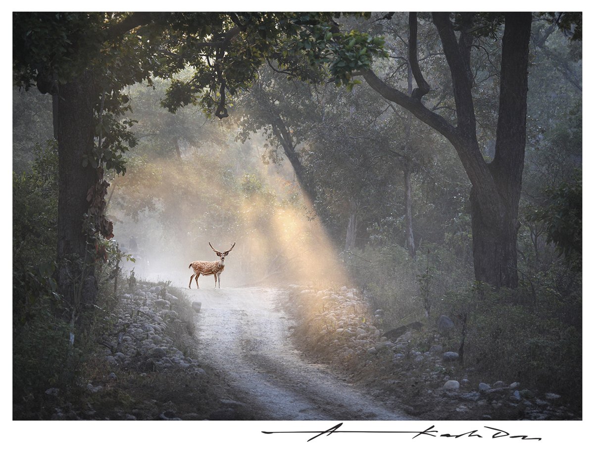 Akash Das tweet media