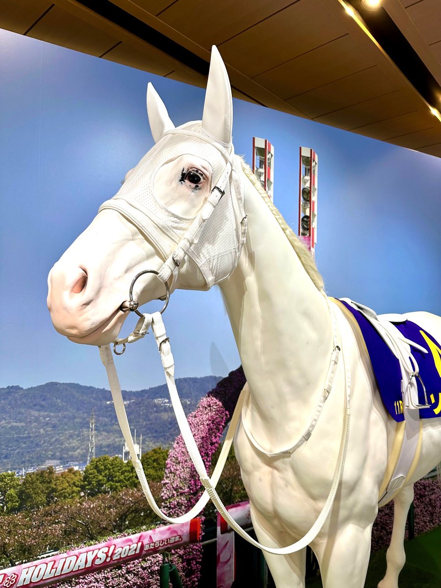 明日最終日】 特別展「白毛図鑑 純白のサラブレッド」は、明日2月18日