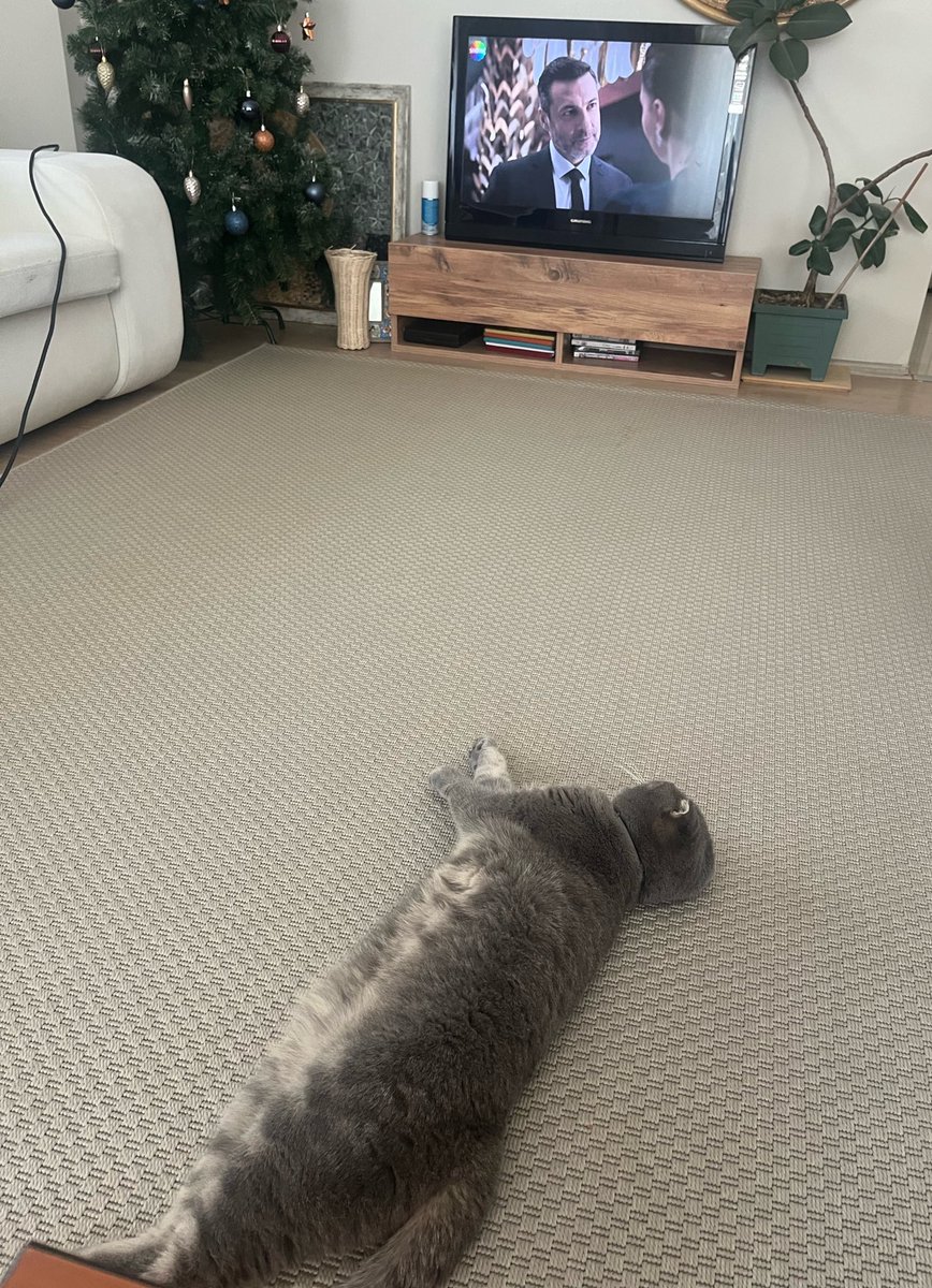 Kızılcık şerbosu fanı