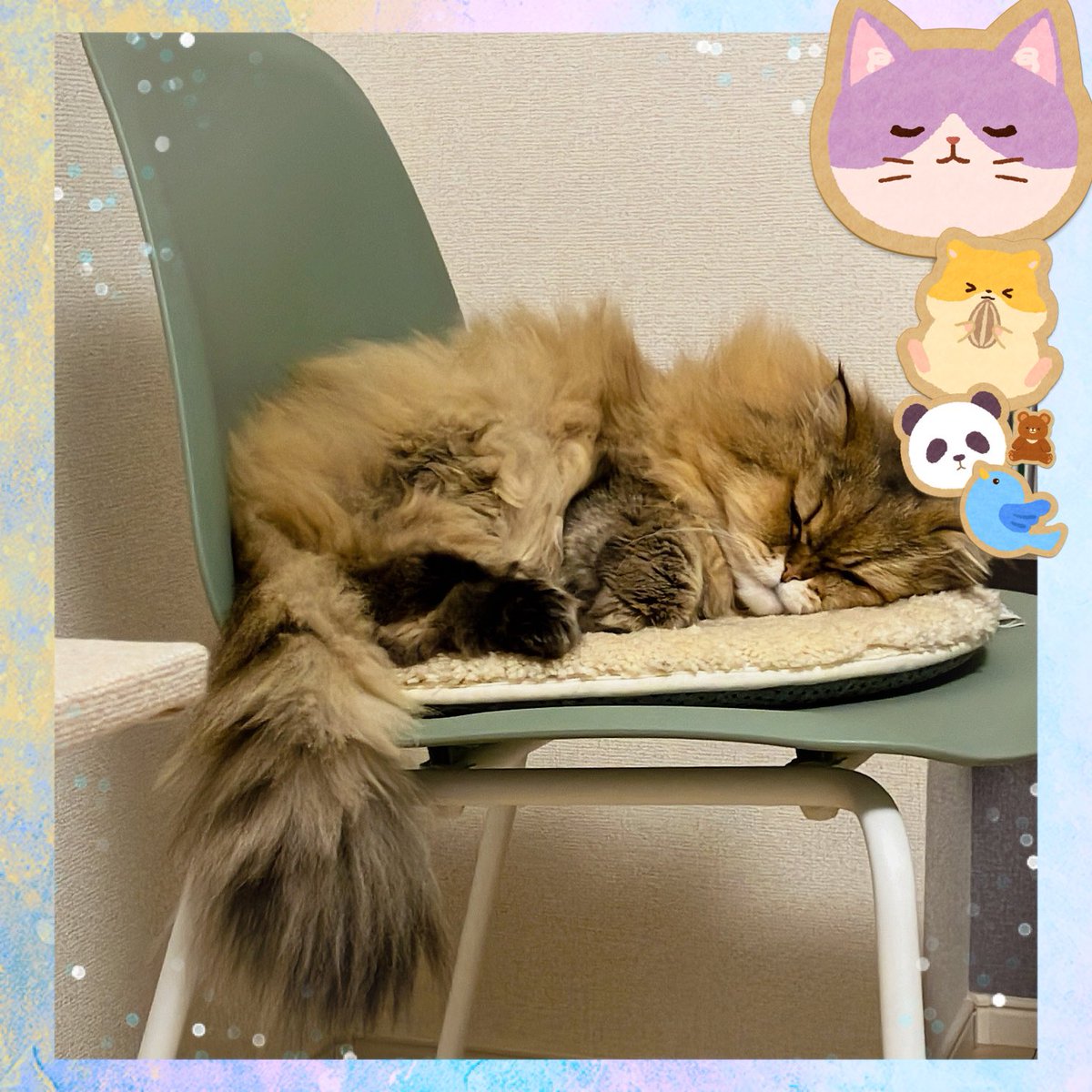 alc0_0's tweet photo. kawaii🩷 https://t.co/wd8qE5hGob