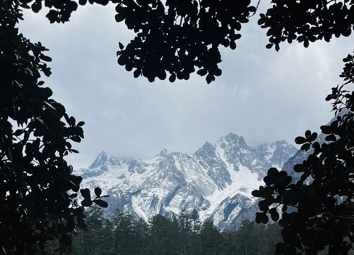 SpringNameless's tweet image. 玉龙雪山可以的，就是排队太久了，景区体验非常差