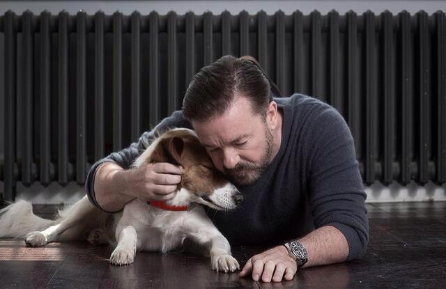 'This weekend visit your local pet rescue centre. You could meet your new best friend' ~ @RickyGervais.

#AdoptDontShop #RescuedIsTheBestBreed 🐶 😽 🐾