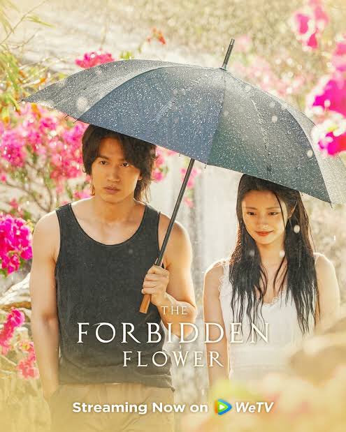 zxqpj6mztc's tweet photo. MY TOP 4 FAVORITE CHINESE DRAMAS ✨ NO PARTICULAR ORDER 🤧 #AmidstASnowstormOfLove  #LighterAndPrincess  #ALoveSoBeautiful #TheForbiddenFlower https://t.co/yRHWyrq8Wc