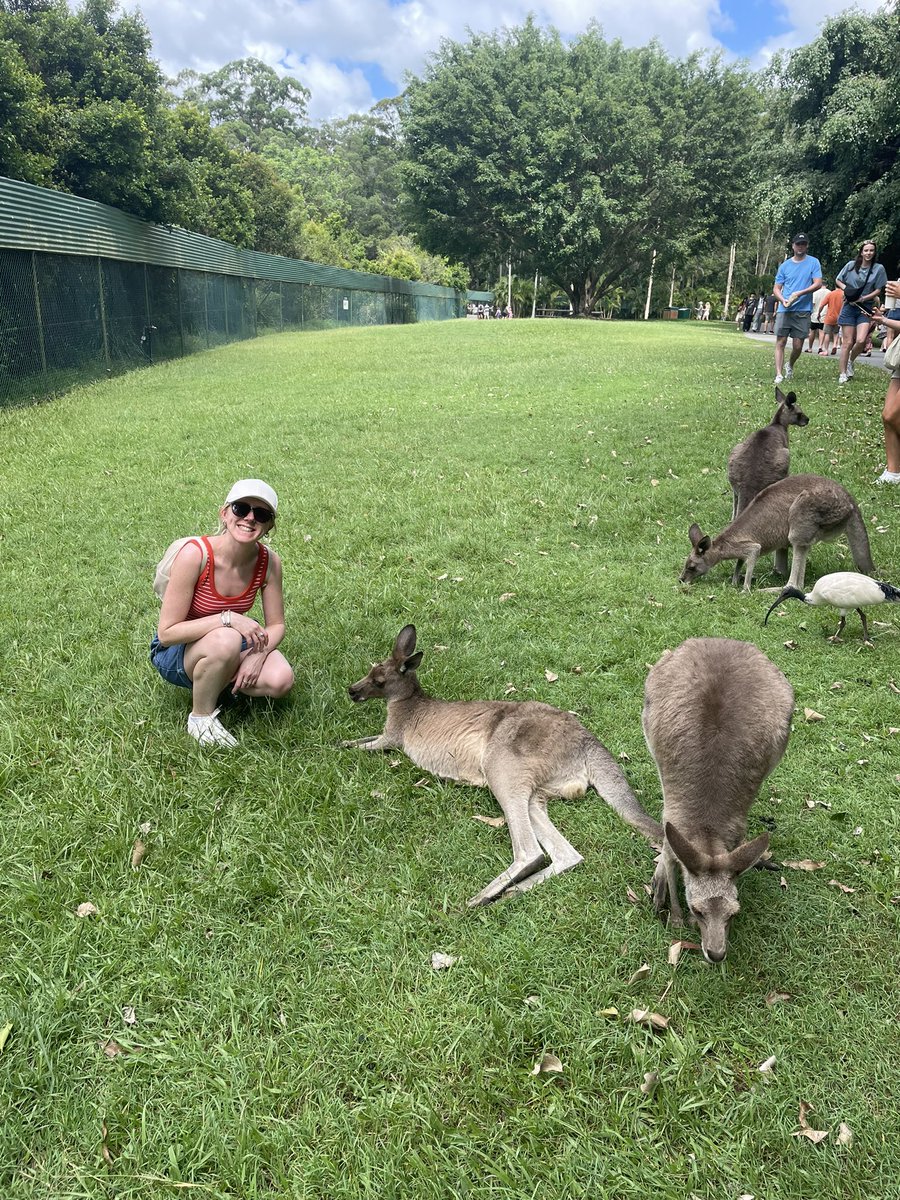 26thCardiffBrownies tweet media