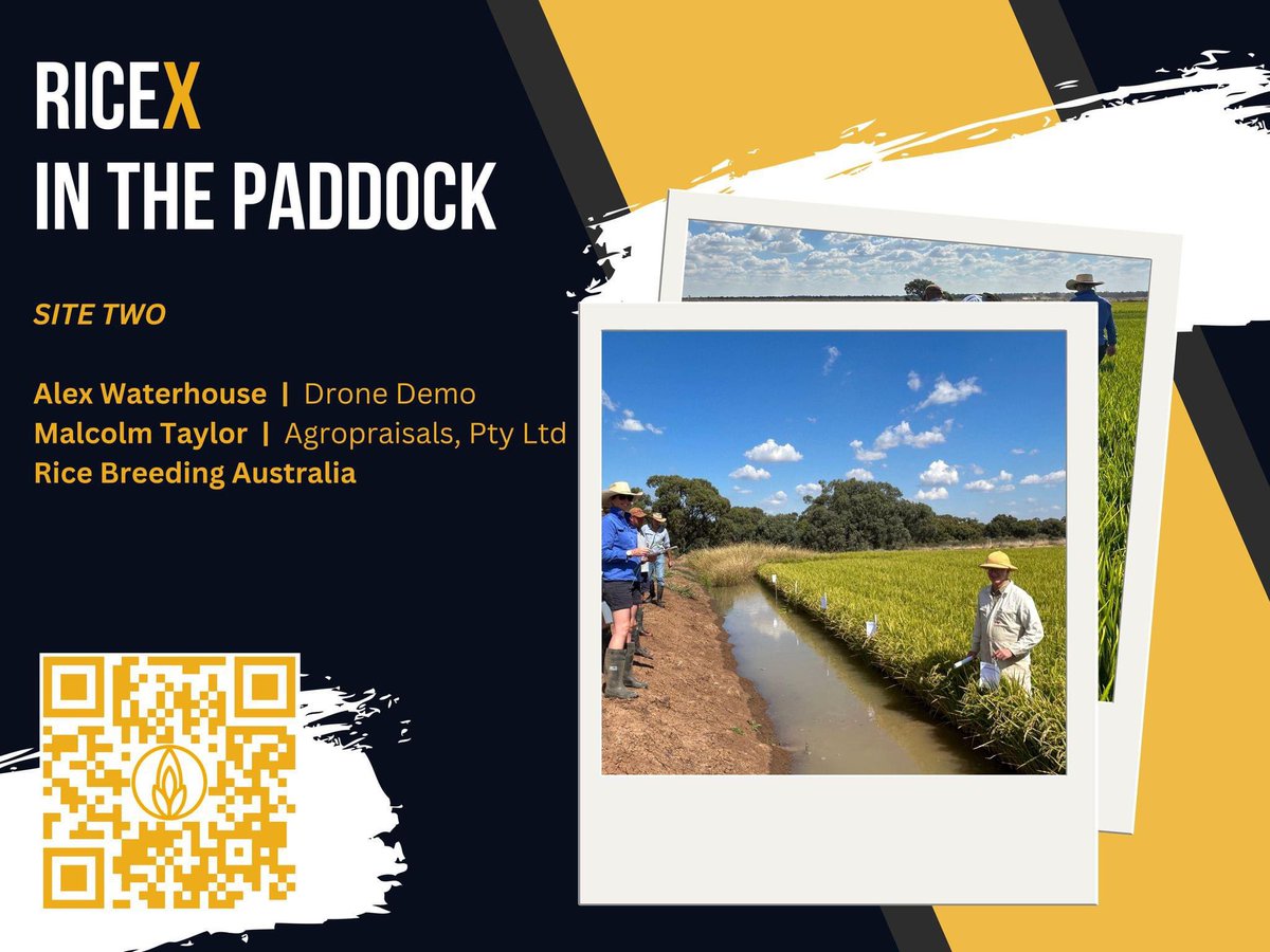 𝗥𝗶𝗰𝗲𝗫; 𝗶𝗻 𝘁𝗵𝗲 𝗽𝗮𝗱𝗱𝗼𝗰𝗸 Exciting news! For the second stop of our field tour, we're thrilled to have these amazing speakers lined up: riceextension.glueup.com/event/ricex-in…