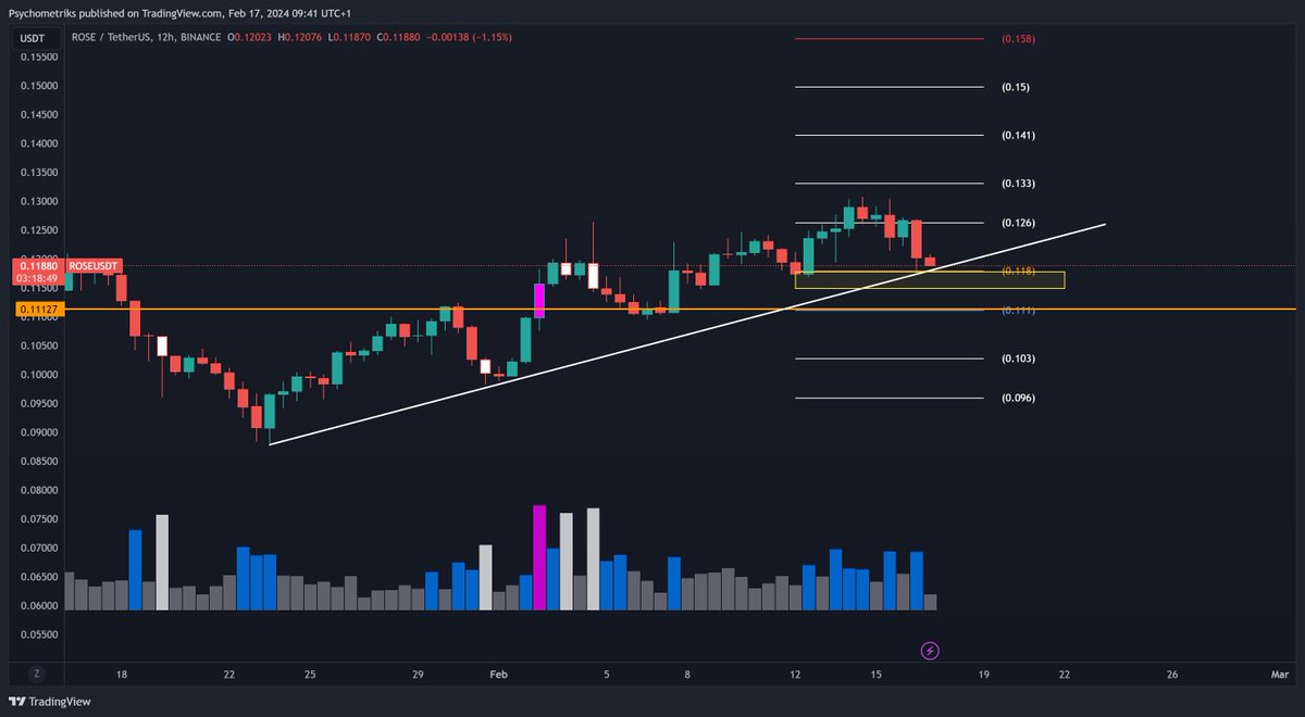 Psychometriks's tweet image. $rose #rose bounce or die #oasisprotocol