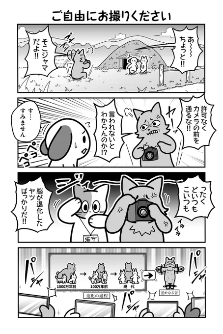 動物たちがのんびり平和に暮らす村の遺跡の話(4/4)
【お知らせ】
「のんびり村の役場猫」単行本1巻発売中🐈
ツイ4(@twi_yon)にて毎日18:30更新です。
 お求めは書店または各販売サイトにてどうぞ。
【Amazon】
 https://t.co/B41M0tKCO0 