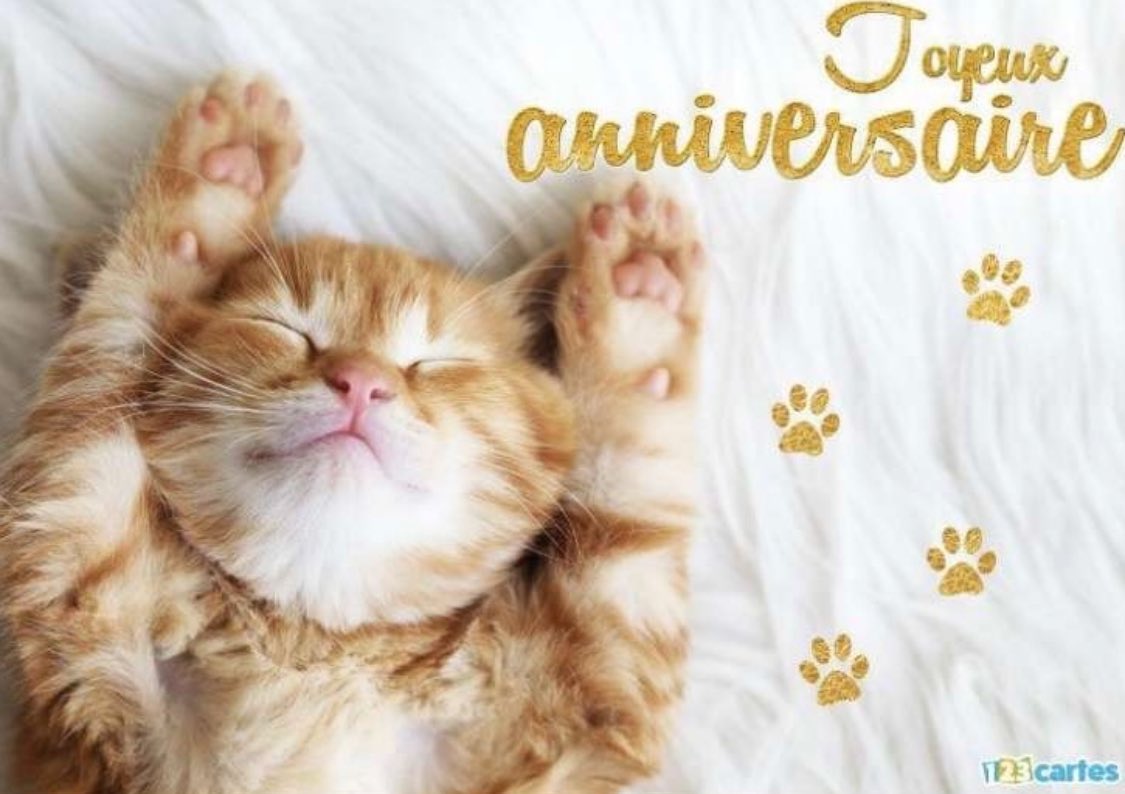 melhqhoh6's tweet photo. joyeux anniversaire à la plus belle des fleurs, @n0esbb https://t.co/6ObUKtpj9i