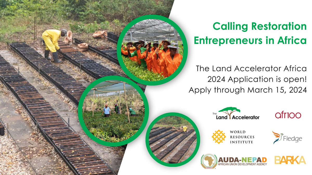 Are you an entrepreneur in Africa working to restore land? Get access to mentorship and training opportunities with the #LandAccelerator! 

Deadline: March 15, 2024 
Apply Today: 👉bit.ly/3UEPCk2