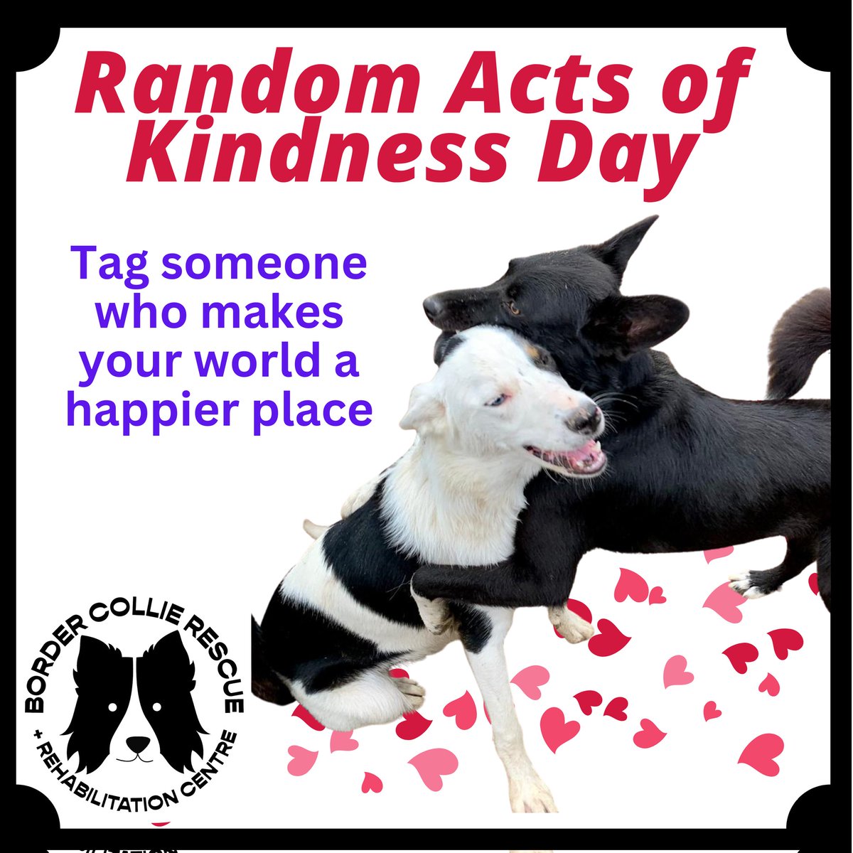 Today is #RandomActsofKindnessDay

Why not tag someone who makes your world a happier place 🥰 and tell them why 😍

#RandomActofKindnessDay #BeKind #KindnessMatters