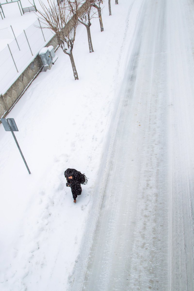 feyzullahtunc's tweet photo. Gm Friends,
Happy #Solsaturday
⬜️Walking in the Snow
⬜️Open Edition
⬜️0.05 SOL
https://t.co/HRBkToP7g5 #nftart https://t.co/5p6Zw85XbT