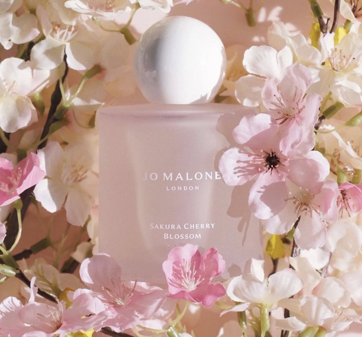 ploy_poly_'s tweet photo. #สุ่มแจกฟรี jomalone sakura cherry blossom 10ml

🫧รี+ฟอล🫧

☀️ประกาศ 24/02/24

#ของขวัญ #แจกฟรีแค่รีฟอล #ใช้จริงรีวิวจริง #HowtoBeauty #ส่งต่อน้ำหอม https://t.co/RhyXdN0D4r