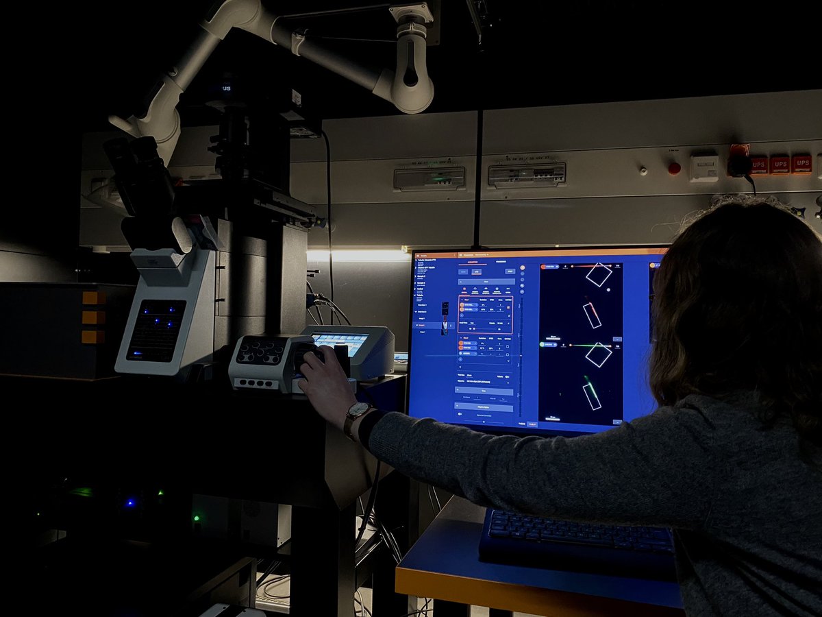 of all the cool technology I get to use in my research, microscopy is the most fun and exciting. this week, I had the chance to try STED microscopy for the first time. thanks <a href="/Abberior/">Abberior</a>, <a href="/ISTAustria_IOF/">Imaging & Optics Facility (IOF/ISTA)</a> and @PhotonPhilipp for making it possible! 

(also saw some EVs 😍)