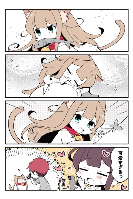 🐈56話 撮影会してる📷
#小倉さん家のきなこ 