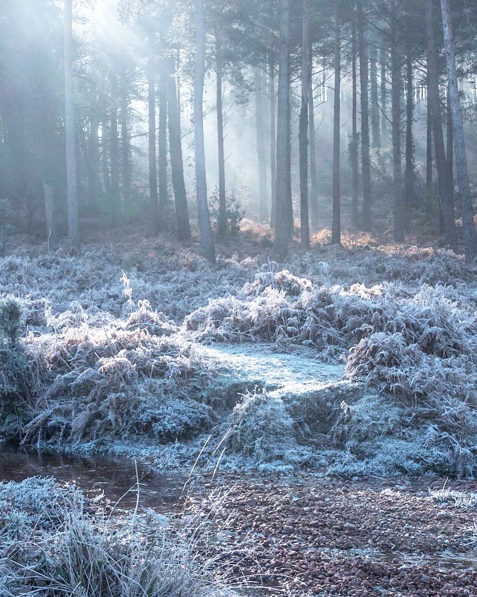 This time last year.. 

#newforest #frost #trees #treephotography #treelover #mistyfoggymilkymoody #mistyforest #newforestnationalpark #landscapes_of_britain #naturephotography