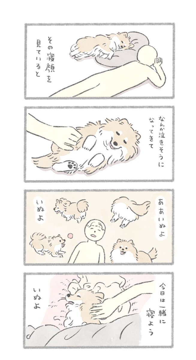 ああ、いぬよ… 