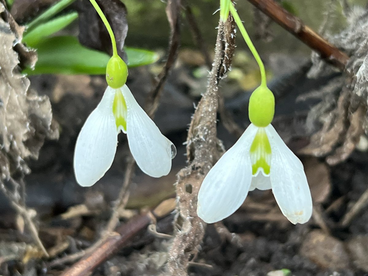 Lewis Normand 🇺🇦 tweet media