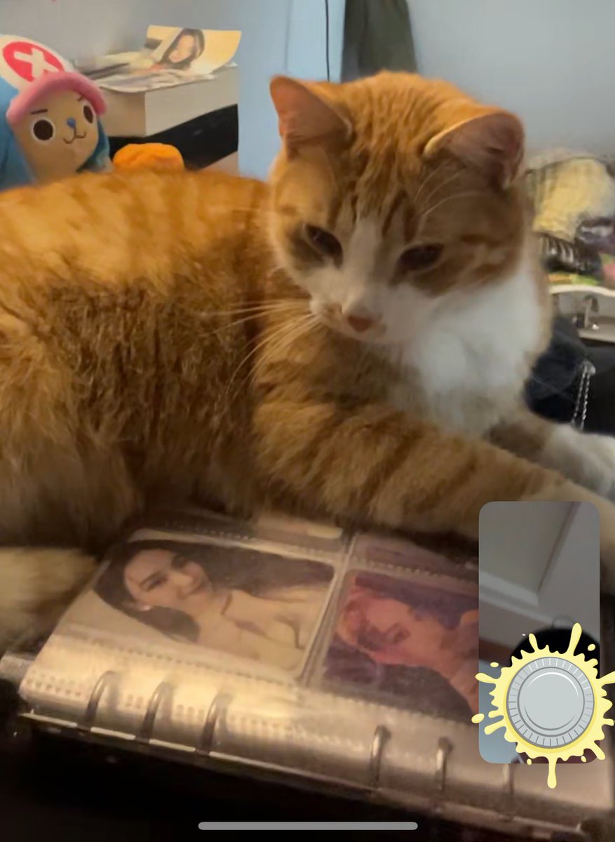 popczik's tweet photo. jollycat loves karina fr https://t.co/MlIrXIhCOF