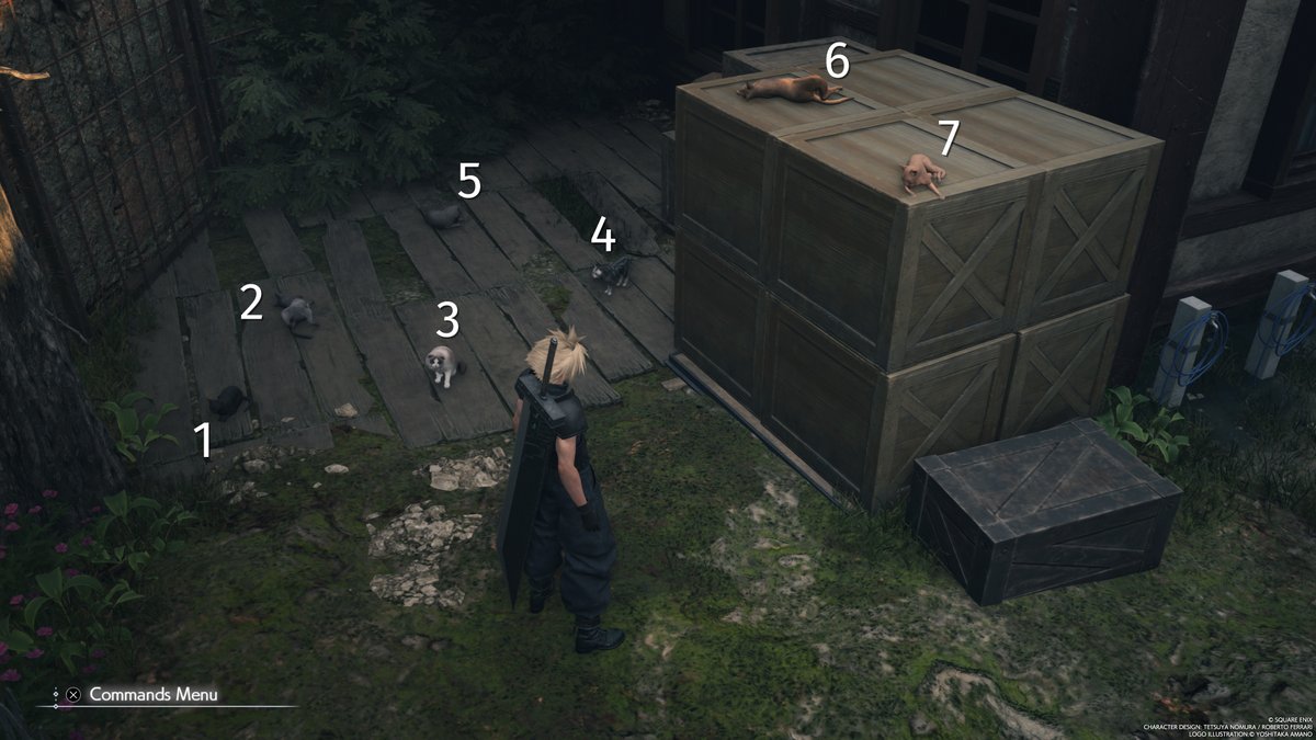 Seven kittens to the end...
#CCOGems #FFVIIRebirth