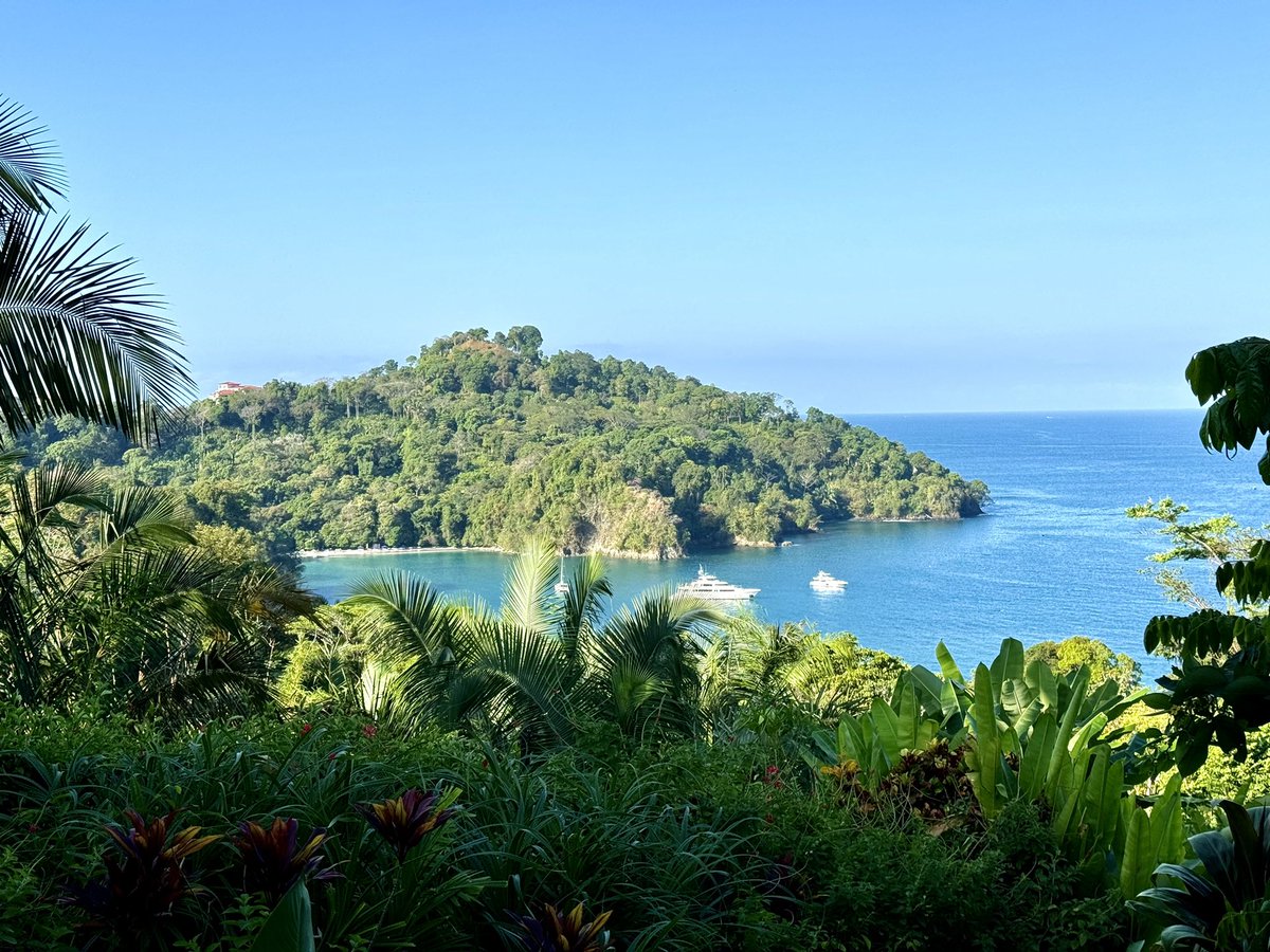 tpmedia's tweet photo. Good Saturday morning from the beautiful Tulemar Beach Resort in Quepos, Costa Rica.
Color me so fortunate. And so grateful.
Pura Vida.
@tulemarresort #Tulemar https://t.co/ev3JPncZ5J