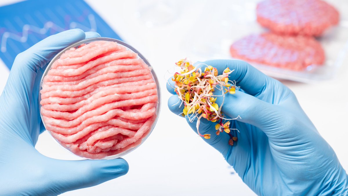 Data revolutionizes food &amp; beverage industry, offering insights into consumer preferences. Platforms like <a href="/mintelnews/">Mintel</a> &amp; <a href="/technomic/">Technomic</a> empower operators with big data analysis. Data analytics aids in trend development &amp; predictive analysis. 🍽️ 📈 #FoodIndustry #DataAnalytics