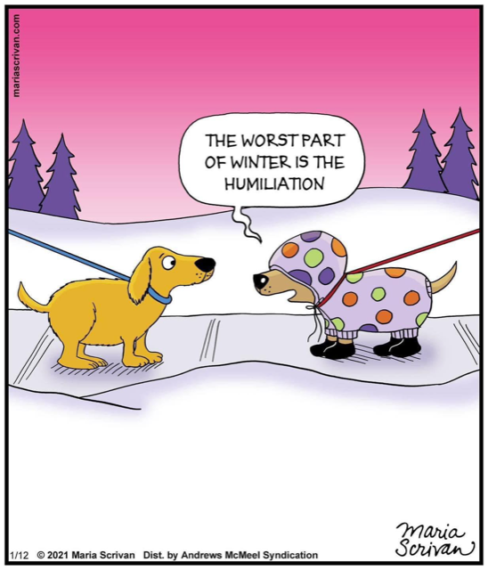 HWAHSeniorPets's tweet photo. #SaturdayStarter #HWAH
(courtesy of Maria Scrivan) https://t.co/M9PAI7VYJg