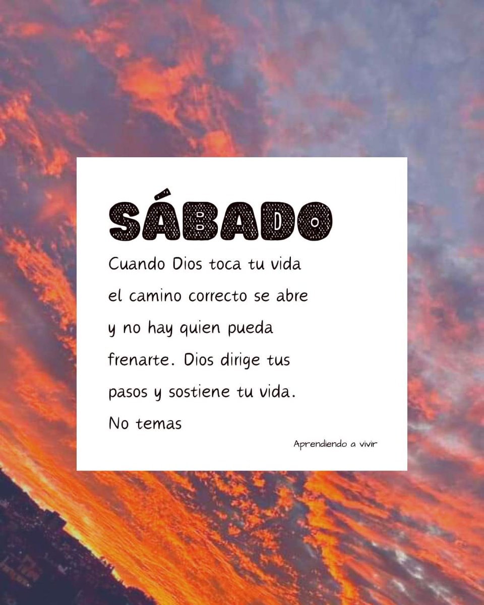 Soykatt07's tweet photo. ❤️🌵 https://t.co/ctzwKYO2cj