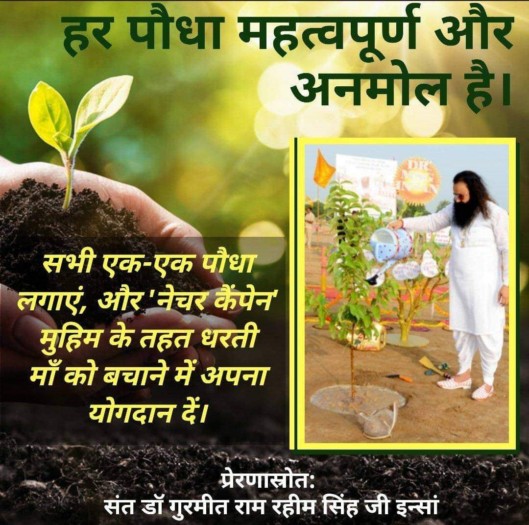 #GiftOfTrees
 By respected Guru Saint Ram Rahim Ji
 Nature Campaign has been started,
 Under this campaign, followers of Dera Sacha Sauda plant lakhs of trees every year and take care of the environment.