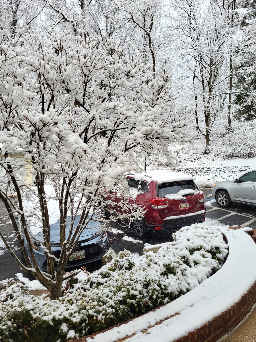 carsueb's tweet photo. A beautiful picture from #MyBaltimore, at 8 a.m. https://t.co/VxyAiYAK0D