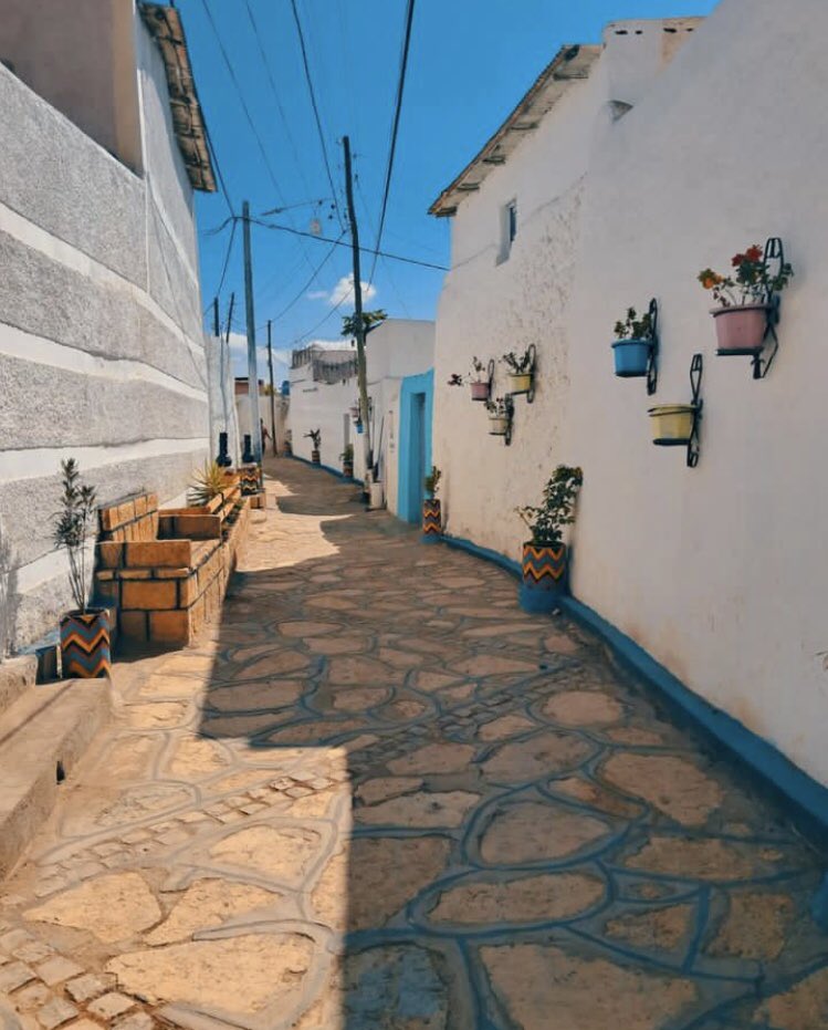 HassetHiking's tweet photo. Beautiful places you should visit in Ethiopia (Thread 🧵)

1, Harar: Historic walled city - colorful markets and friendly locals 🕌🛍 #Harar https://t.co/gImd2GWSzI