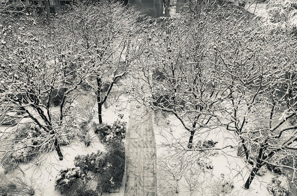 Krithi Irmady tweet media