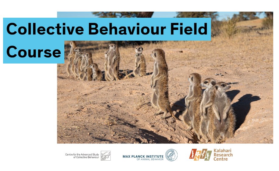 🚨Applications are now open for the second Collective Behavior Field Course! Students from any South African university are eligible. Participation is fully funded! More information and application forms are at exc.uni-konstanz.de/cbfc/