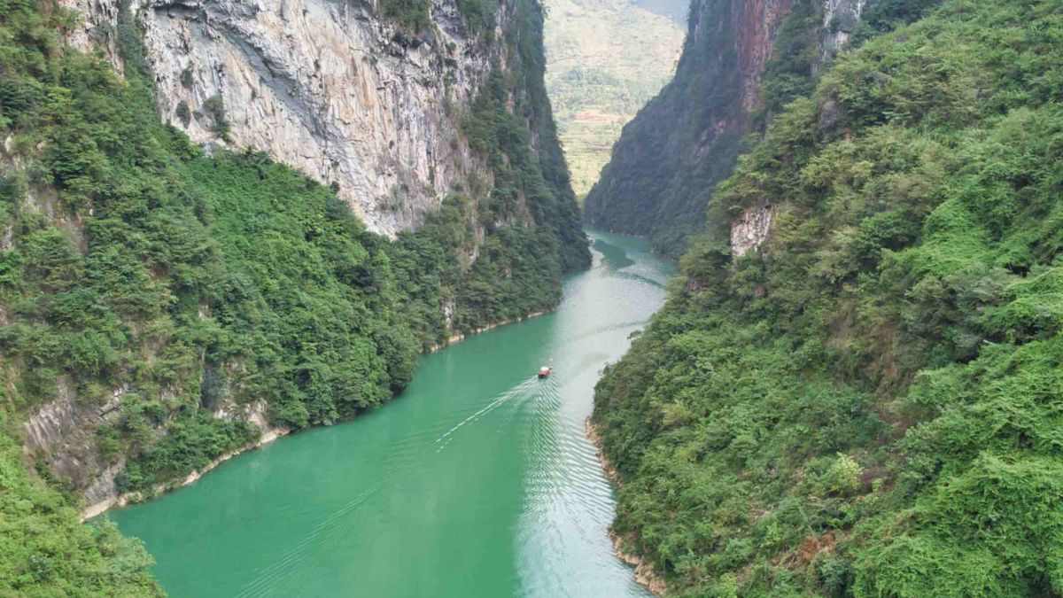 Paloma Gonzalez tweet media