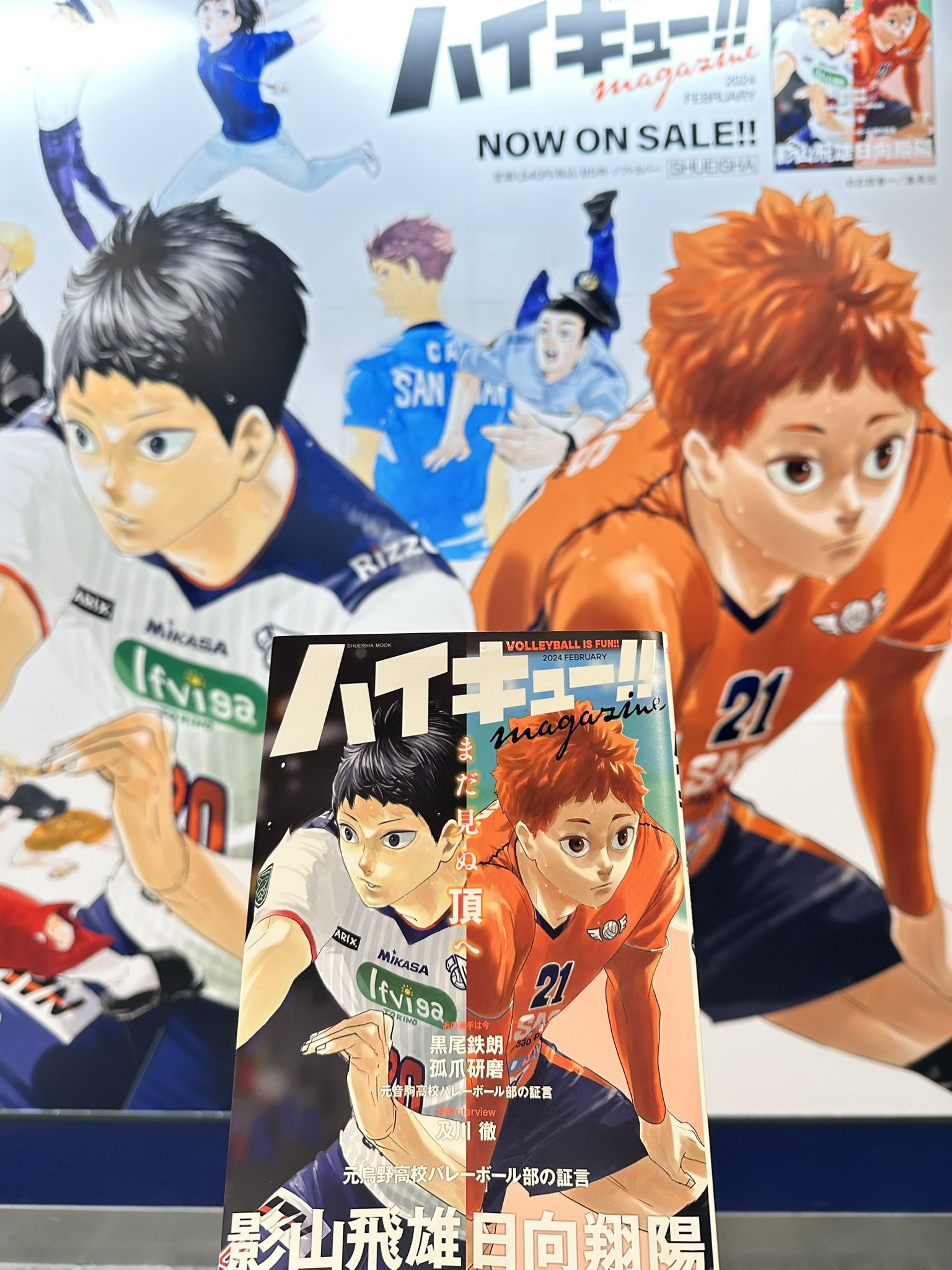 ハイキュー!! +関連本1冊 全46巻