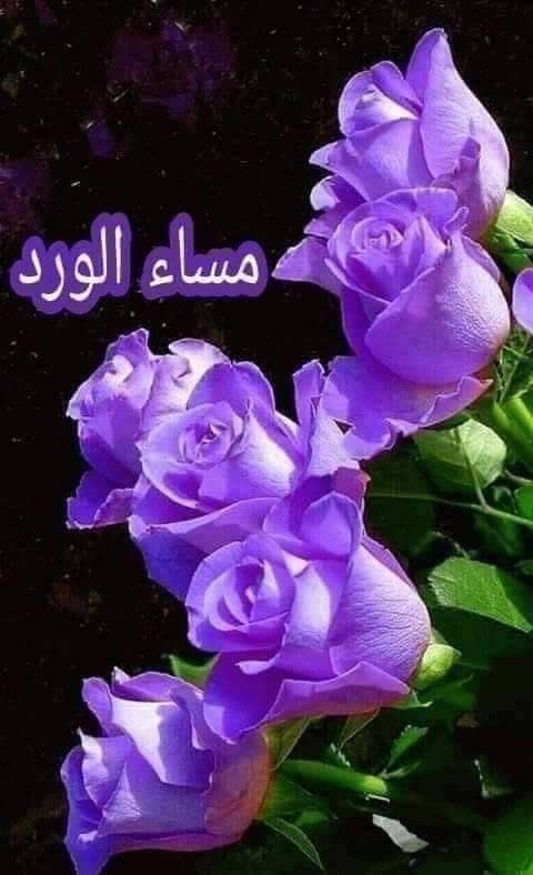 @So3bhy @Mohamed73923498 @myr24748556 @ThisiZiHB @Lea_Dhai @Mone_fb @SEltaer @So6bh @kn_jui @1alny @mill1r @LV8548 @9OOOY @lm_zky @kzv1980 @mfq19591 @asqanfsk @dadave3828 @RIM22588816 @nbrs61967253 @profbashir1985 @2A1975 @2KH22 يسلمووو صبحى✨👑 موافقين نجومك✨✨✨ ✨ #دعم_كابتن_صبحى #ملك_الدعم_والاضافات 🤍🪻