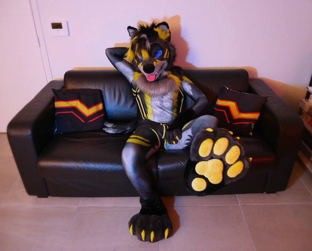 Need a paw rest, any volunteer ? 😏