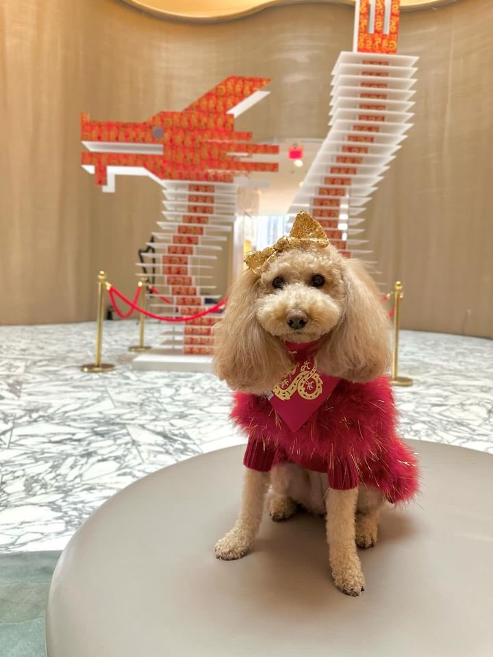 The best dressed for Lunar New Year