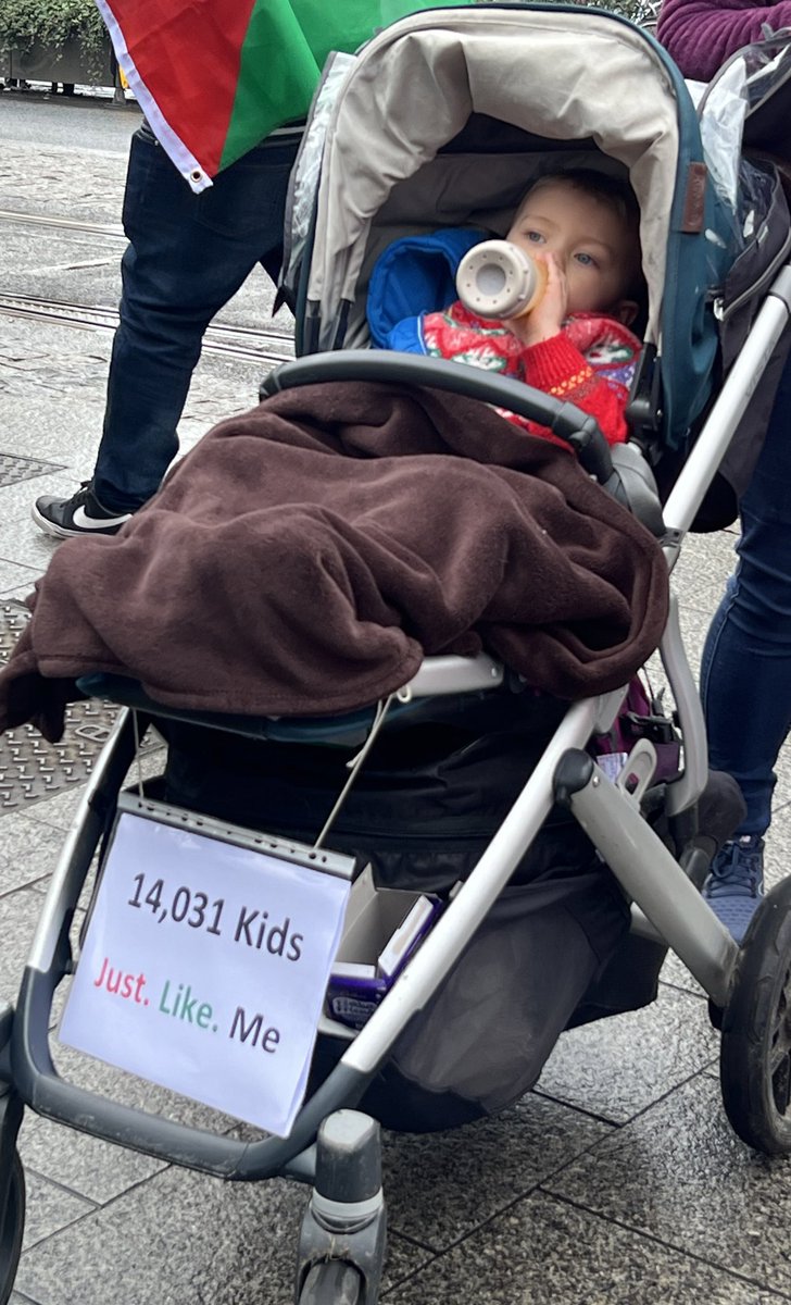 dlLambo's tweet photo. Easily 40,000 out in Dublin for Palestine 🇵🇸 

This perhaps the most powerful 💔 https://t.co/uES5aq2Z4P