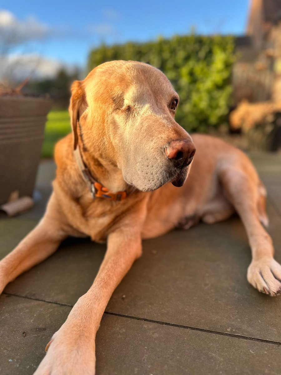 Richard Beeken tweet media