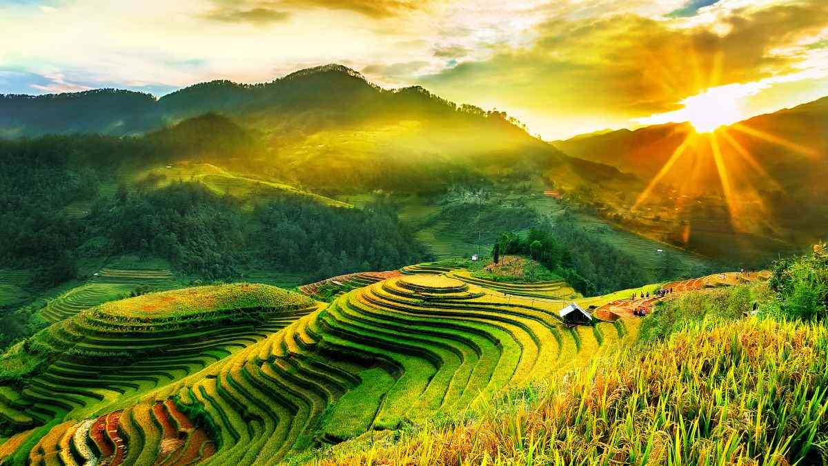 sari0661 tweet media