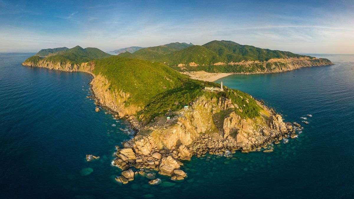 Cletus Weekes tweet media