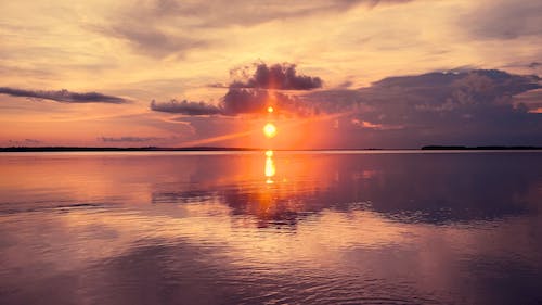 nick  b romeo tweet media