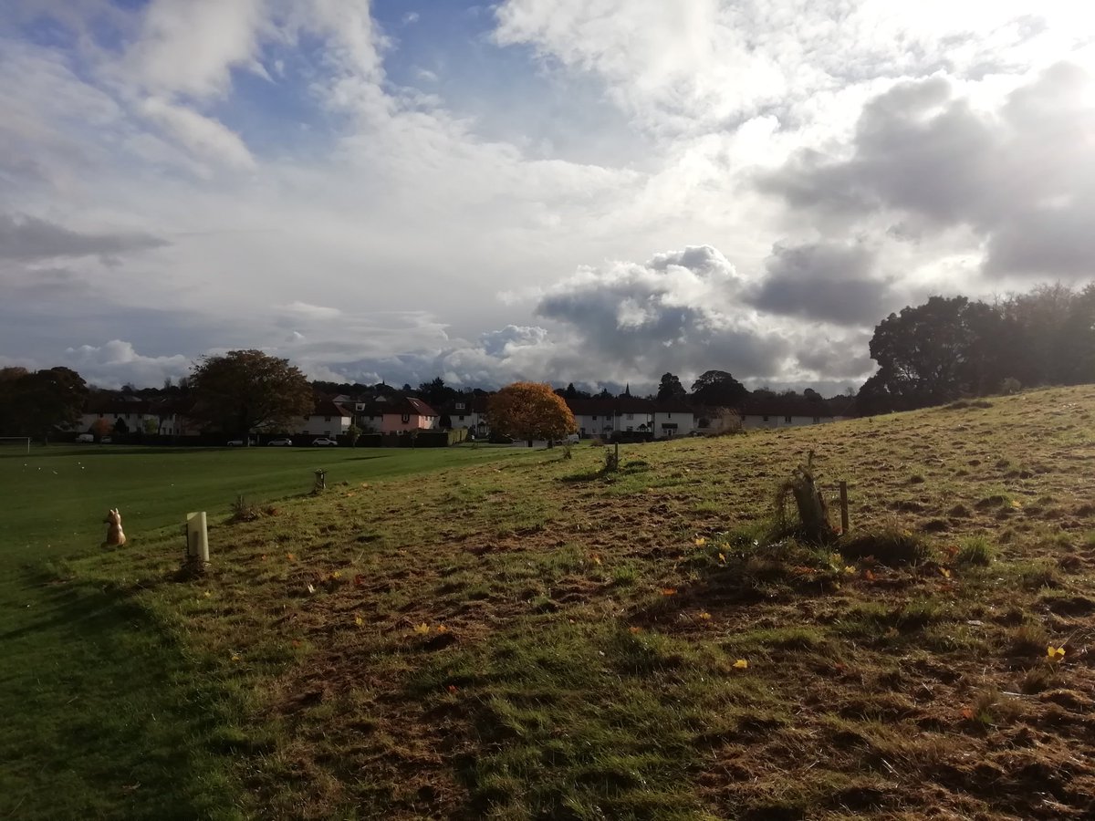Friends of Inch Park, Edinburgh tweet media