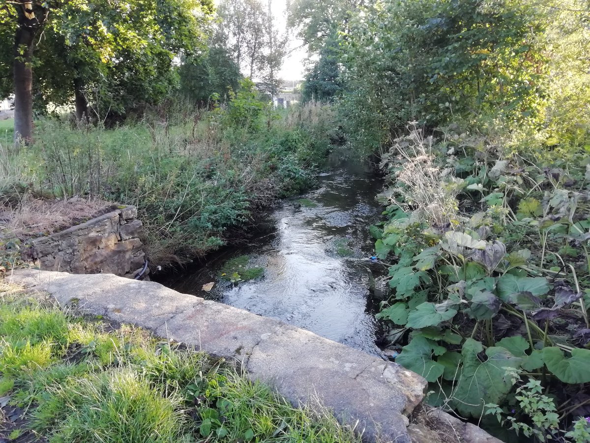 Friends of Inch Park, Edinburgh tweet media